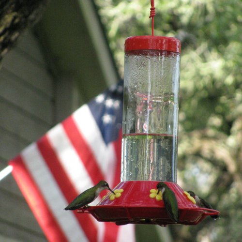 Perky-Pet 209 Our Best 30-Ounce Glass Hummingbird Feeder