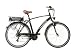 Ruhrwerk Herren 36v Trekking Pedelec Wegbegleiter, black matt, Rahmenh�he: 53 cm, Reifengr��e: 28 Zoll (71 cm), 21000-1300432
