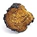 Life Gourmet Shop Chaga Mushrooms Whole 16 oz
