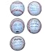 500 Home Run Club Autographed Baseball Signed by Hank Aaron, Ernie Banks, Barry Bonds, Reggie Jackson, Harmon Killebrew, Eddie Mathews, Willie Mays, Willie McCovey, Eddie Murray, Frank Robinson, and Mike Schmidt