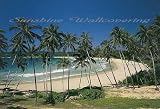 Cottegoda Bay 8-252 Wall Mural