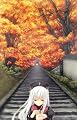 きっと、澄みわたる朝色よりも、 豪華初回限定版