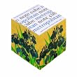 Boston International Metropolitan Museum Of Art  Note Cube Pads: Korin Irises (Pack of 2)