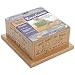 SmartCat 3844 Kitty?s Garden Edible Grass Planter