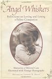 Angel Whiskers: Reflections on Loving and Losing a Feline Companion