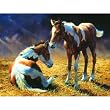 Stable Companions 300pc Jigsaw Puzzle by Bonnie Marris