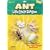 Life Cycle Stages Ant