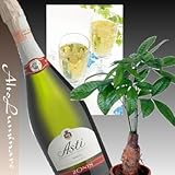 送料無料！観葉植物とイタリア甘口（マスカット）白スプマンテのセット