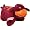 Virginia Tech Hokies