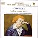 Lieder sur des po�mes de Schiller, vol 1