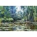 GIANT Claude Monet Water-Lilies in Monet's Garden Art Print Poster - 36x54