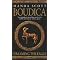 Historical fiction - looking for a good read?