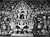 Anthropoid Figure and Vegetable Elements, Alter Relief of the Temple of Bayon, Angkor, Cambogia Photographic Poster Print, 32x24