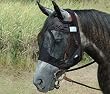 Cashel Quiet Ride Fly Mask Standard - Draft [Misc.]