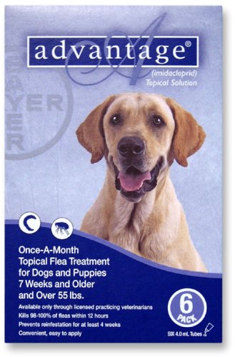 fleas in puppies Discount Advantage Topical Flea Treatment for Dogs