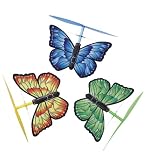 Wind-Up Winged Copters