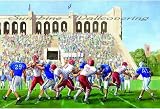 Football Stadium Wall Mural