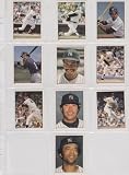 New York Yankees 1981 Topps Baseball Sticker Team Set (Reggie Jackson) (Dave Winfield) (Goose Gossage) (Willie Randolph) (Greg Nettles) (Ron Guidry) (Tommy John) (Bucky Dent)