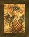 Pineapple Jungle Art Poster Print by Tina Chaden, 22x28