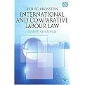 International and Comparative Labour Law (Paperback)