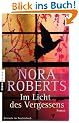 Im Licht des Vergessens: Roman
