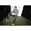 Thumbnail image of Professor Green