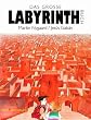 Das Gro�e Labyrinthbuch