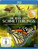 Die Reise des Schmetterlings - Das Geheimnis des Monarchfalters [Blu-ray]