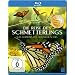 Die Reise des Schmetterlings - Das Geheimnis des Monarchfalters [Blu-ray]