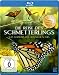 Die Reise des Schmetterlings - Das Geheimnis des Monarchfalters [Blu-ray]