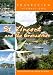 Travelview International  St Vincent and the Grenadines
