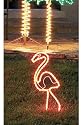 24" Rope Lighted Pink Flamingo Outdoor Tropical Yard Art