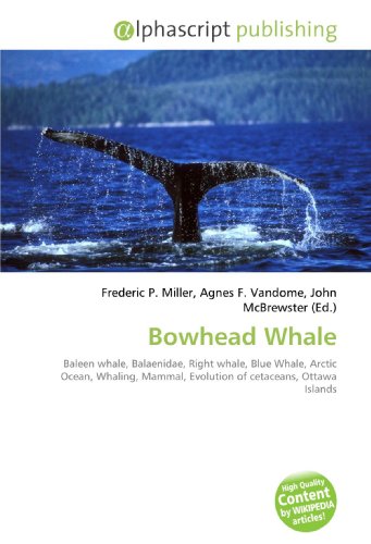 Bowhead Whale: Baleen whale, Balaenidae, Right whale, Blue Whale, Arctic Ocean, Whaling, Mammal, Evolution of cetaceans, Ottawa Islands
