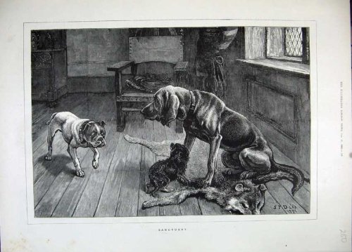 1883 Dadd Fine Art Print Puppy Dogs Fox Fur Animals