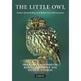The Little Owl: Conservation, Ecology and Behavior of Athene noctua by Dries Van Nieuwenhuyse, Jean-Claude Génot, and David H. Johnson