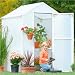 Solexx Little Propagator 4' x 4' Backyard Starter Greenhouse 