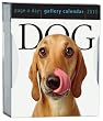 Dog Gallery Calendar 2010 Dog Gallery Calendar 2010