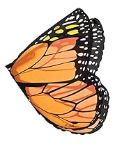 Orange Monarch Wings
