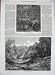 1869 New Zealand Bush Wairarapa Kauminga Creek Trees