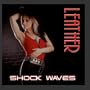 Shock Waves