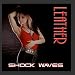 Shock Waves
