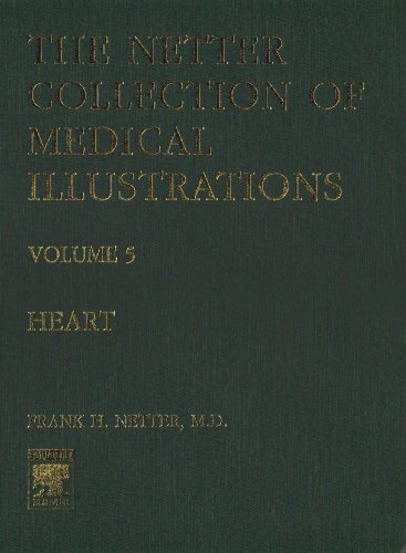 the heart netter collection of medical illustrations volume 5