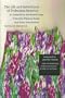 The Life and Adventures of Trobadora Beatrice as Chronicled by Her Minstrel Laura: A Novel in Thirteen Books and Seven Intermezzos (European Women Writers)