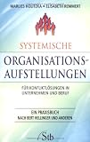 Systemische Organisations-Aufstellungen: F&uuml;r Konfliktl&ouml;sungen in Unternehmen und Beruf - Marlies Holitzka, Elisabeth Remmert