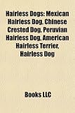 Hairless Dogs: Mexican Hairless Dog, Chinese Crested Dog, Peruvian Hairless Dog, American Hairless Terrier, Hairless Dog