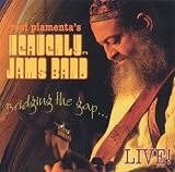 Bridging the Gap Live