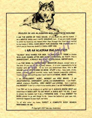 Rules In An Alaskan Malamute's House
