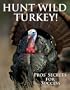 Hunt Wild Turkey!: Pros' Secrets for Success