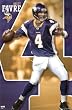 Minnesota Vikings (Brett Favre) Sports Poster Print - 22" X 34"