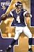 Minnesota Vikings - Brett Favre Poster Print, 22x34